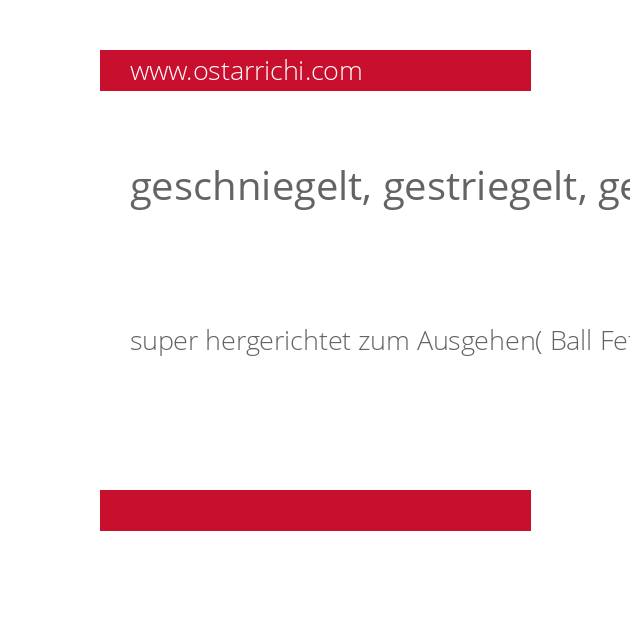 geschniegelt, gestriegelt, geschneuzt und gekampelt