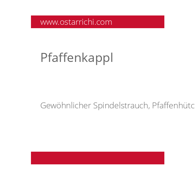 Pfaffenkappl