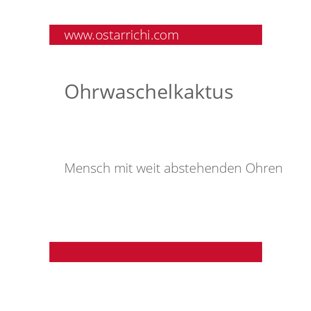 Ohrwaschelkaktus