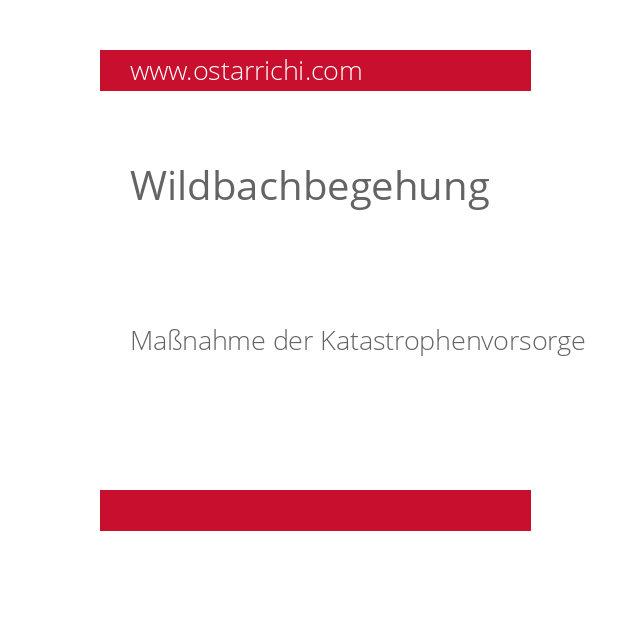 Wildbachbegehung
