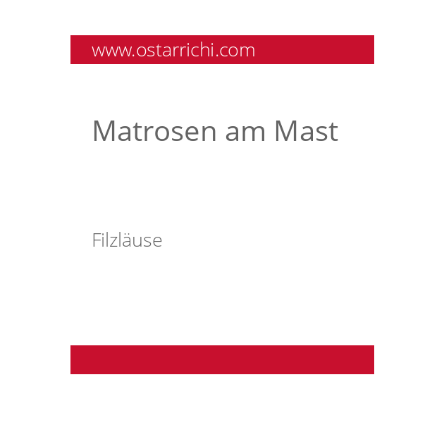 Matrosen am Mast