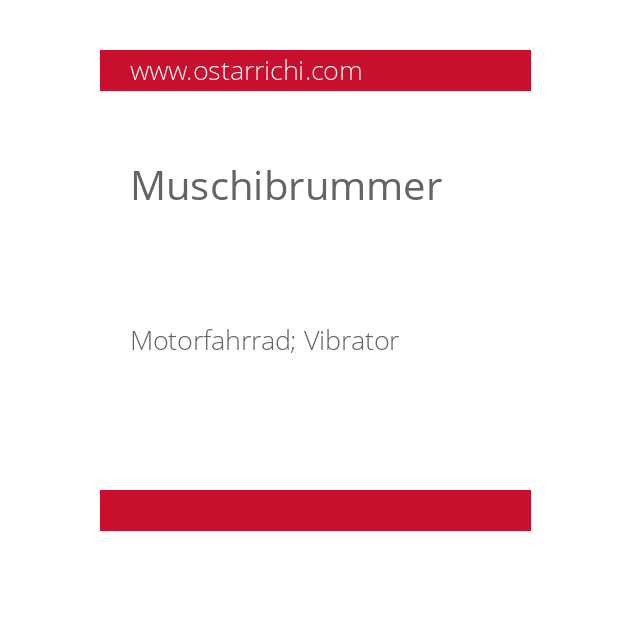 duden umschreibung vibrator 
